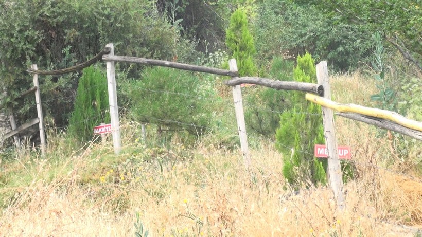 Hayatını kaybeden kadınların isimlerini verip ağaç dikiyor! - Resim: 7