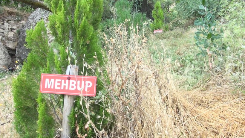Hayatını kaybeden kadınların isimlerini verip ağaç dikiyor! - Resim: 8