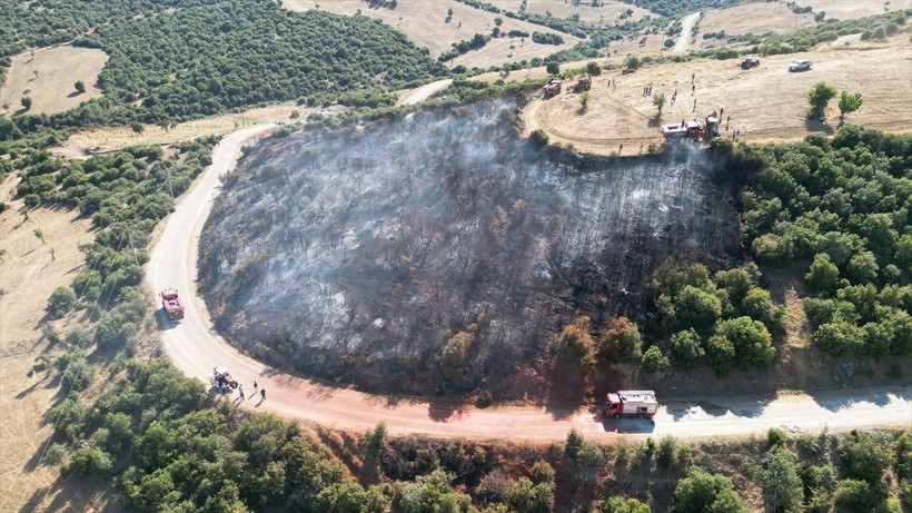 Türkiye genelinde 9 günde 148 noktada yangın çıktı! Envanterdeki tüm hava ve kara araçları kullanıldı - Resim: 15