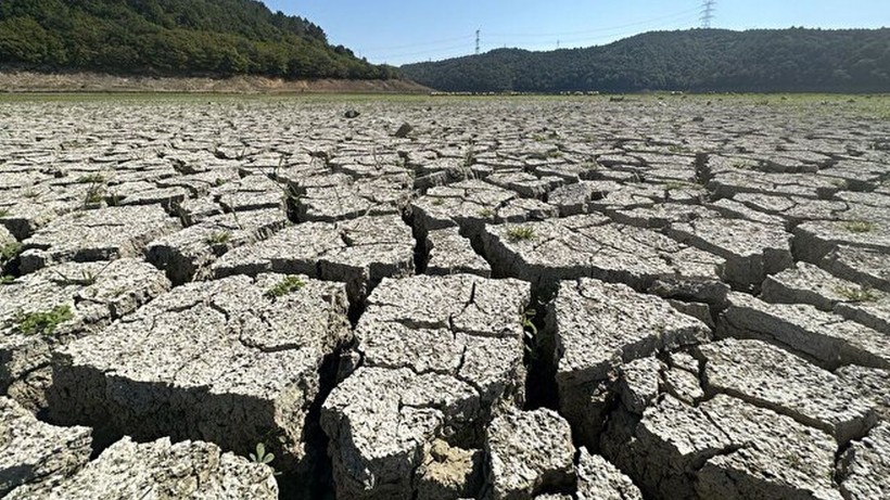 İstanbul için kuraklık alarmı verildi! Kemerburgaz Kent Ormanı'nda keçiler otlamaya başladı - Resim: 2