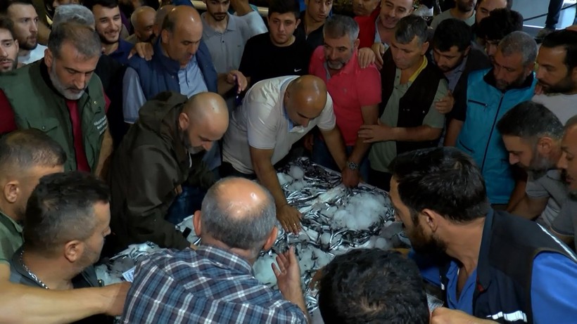 Balıkçılar ağlarını denizle buluşturdu! İşte bu yıl tezgahlarda en çok göreceğimiz balık - Resim: 20