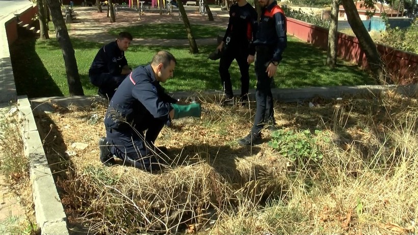 Son Dakika: İstanbul Sultanbeyli’de 'Kimyasal' paniği - Resim: 5