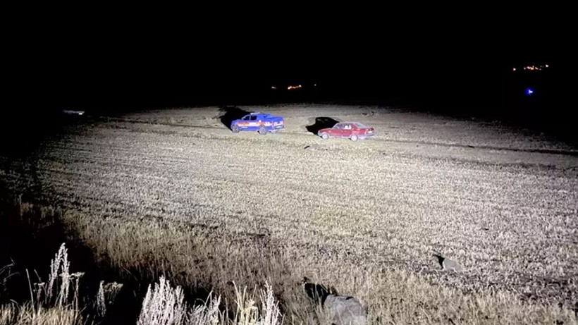 Ardahan’da fil alarmı! Jandarma arazide her yerde arıyordu | Valilikten açıklama geldi - Resim: 4