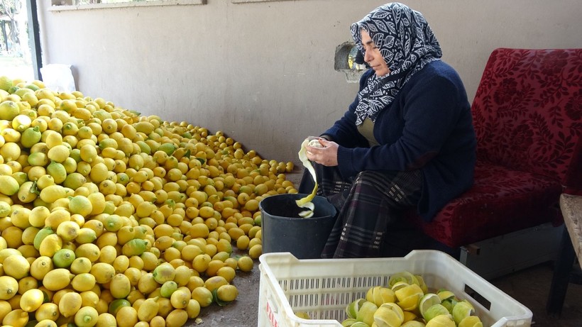 Dalında kuruşla ipte lirayla! Kadın girişimci herkesin dereye döktüğü limonda çareyi buldu - Resim: 4