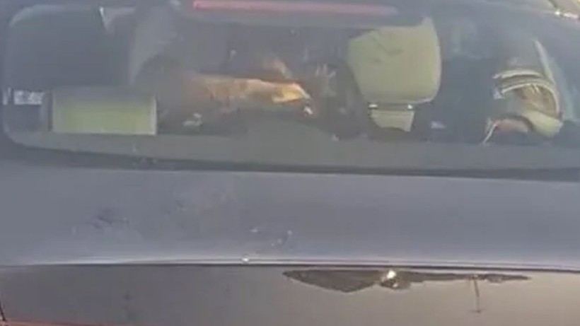 İstanbul'da kabus dolu anlar! Trafikte eşini dakikalarca darp etti - Resim: 1