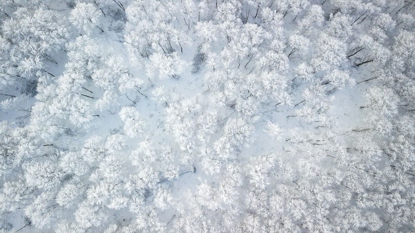 Sporseverlerin uğrak yeri! Kocadağ yaylası beyaza büründü ❄️🌨️☃️ Ortaya kartpostallık görüntüler çıktı - Resim: 24