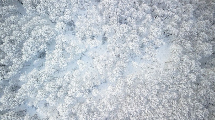 Sporseverlerin uğrak yeri! Kocadağ yaylası beyaza büründü ❄️🌨️☃️ Ortaya kartpostallık görüntüler çıktı - Resim: 27