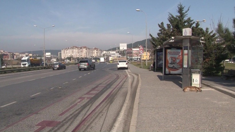 Üniversite harcını yatırmaya gidiyordu! Elanur'un hayalleri yarım kaldı - Resim: 7
