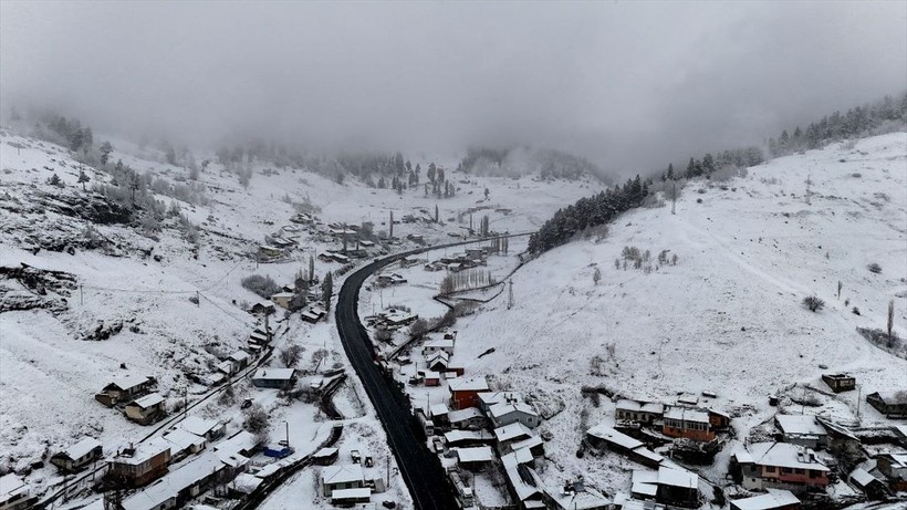 Erzurum'da karın kalınlığına ağaç dalları dayanamadı - Resim: 6