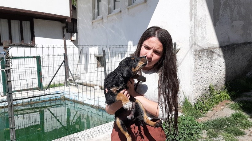 Boğulmak üzere olan yavru köpeği vatandaşlar kurtardı - Resim: 1