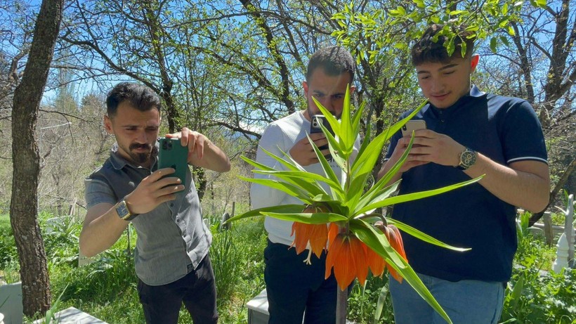 Ters laleleri koparmanın cezası 244 bin TL - Resim: 7