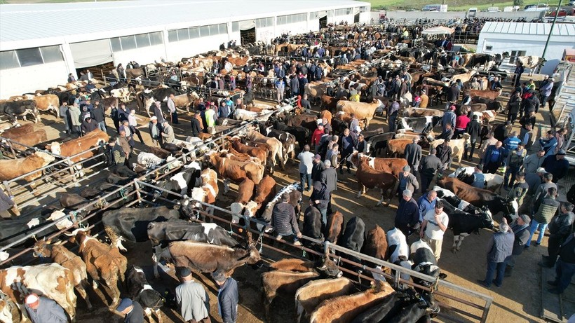 Başkent'te kurbanlık satışları başladı - Resim: 10