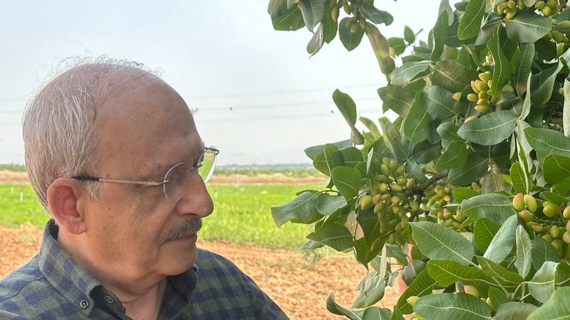 Kemal Kılıçdaroğlu Gaziantep'te fıstık bahçelerini dolaştı - Resim: 1