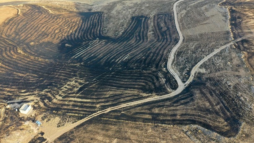 Son Dakika: Diyarbakır ve Mardin arasında anız yangını! 11 ölü, 78 yaralı - Resim: 4