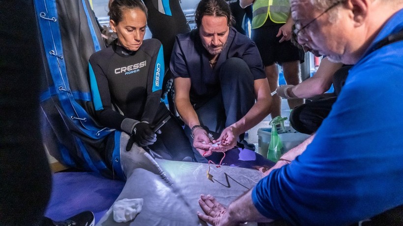 Konu Gazze olunca 3 maymunu oynayan AB Ukrayna'daki iki beyaz balina için film gibi operasyon düzenledi - Resim: 4