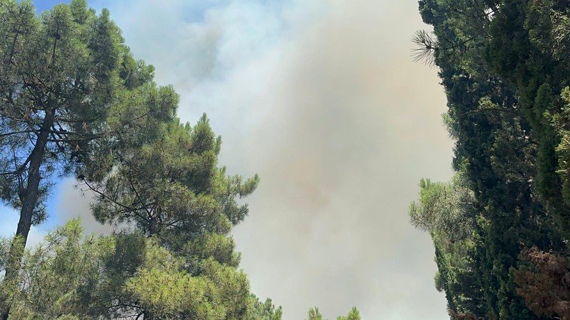 Aydos Ormanı'nda yangın çıktı - Resim: 11