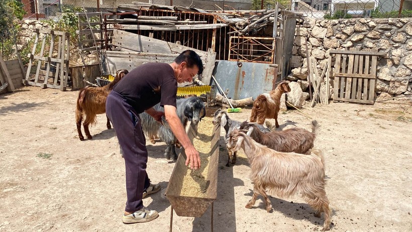 Mardin'de yalnız yaşayan adama akılalmaz tuzak! Yardım kolisinden 182 bin euro borç çıktı! - Resim: 4