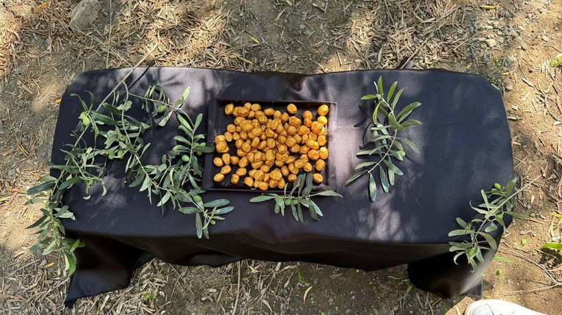 Altın kaplamalı zeytin Ortadoğu'da yok satıyor - Resim: 3