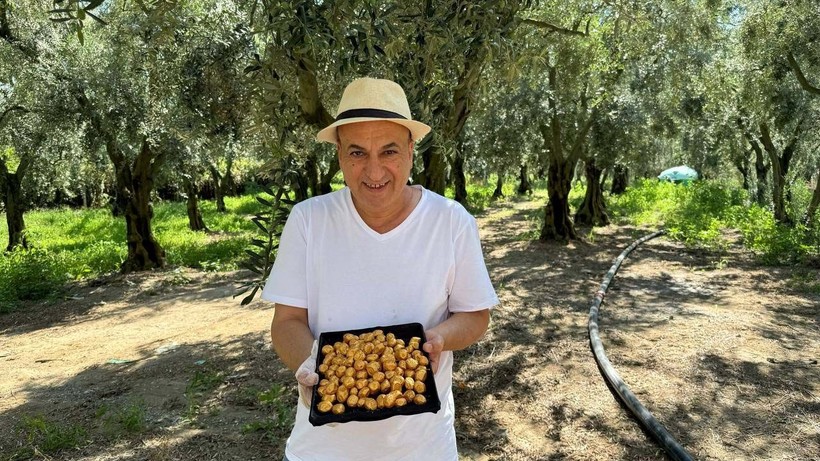 Altın kaplamalı zeytin Ortadoğu'da yok satıyor - Resim: 2