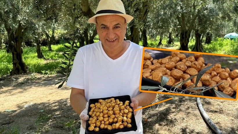Altın kaplamalı zeytin Ortadoğu'da yok satıyor - Resim: 1