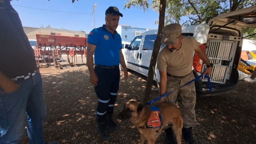 Narin'i arama çalışmaları 9. gününde! Adli Tıp raporundan çıkan sonuç hüsranla sonuçlandı - Resim: 9