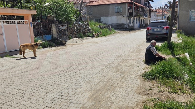 Köpeklerin saldırısına uğrayan yaşlı adam canını zor kurtardı - Resim: 2