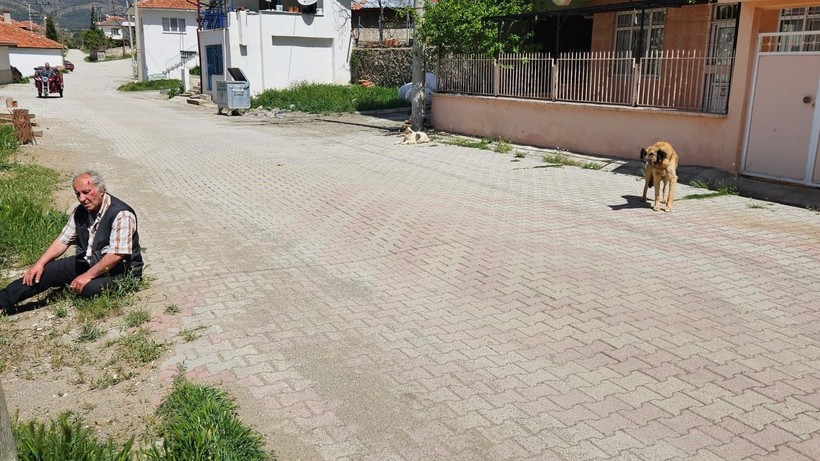 Köpeklerin saldırısına uğrayan yaşlı adam canını zor kurtardı - Resim: 4