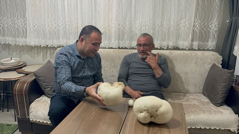Ispartalı doğasever yürüyüş sırasında iki dev mantar buldu - Resim: 4