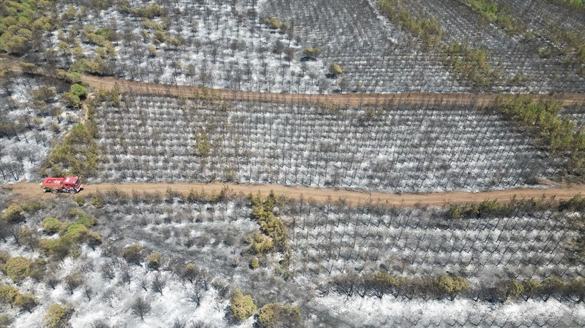 Tekirdağ Şarköy'de yanan orman havadan görüntülendi - Resim: 5