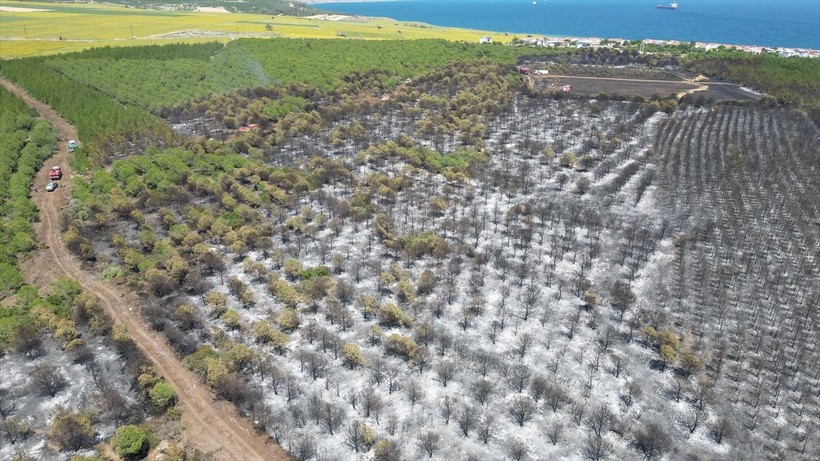 Tekirdağ Şarköy'de yanan orman havadan görüntülendi - Resim: 6