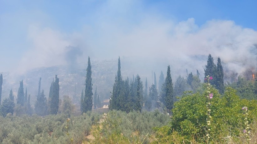 Türkiye'nin ciğerleri yanıyor! Antalya, Sakarya, Tekirdağ, Bursa ve Kahramanmaraş... - Resim: 4