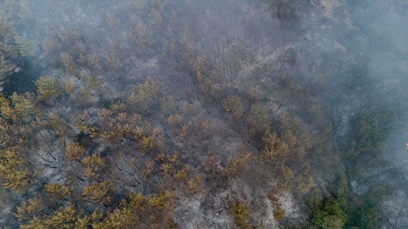 Tekirdağ'da çıkan orman yangını Çanakkale'ye sıçradı! Felaket gün ağarınca ortaya çıktı - Resim: 14