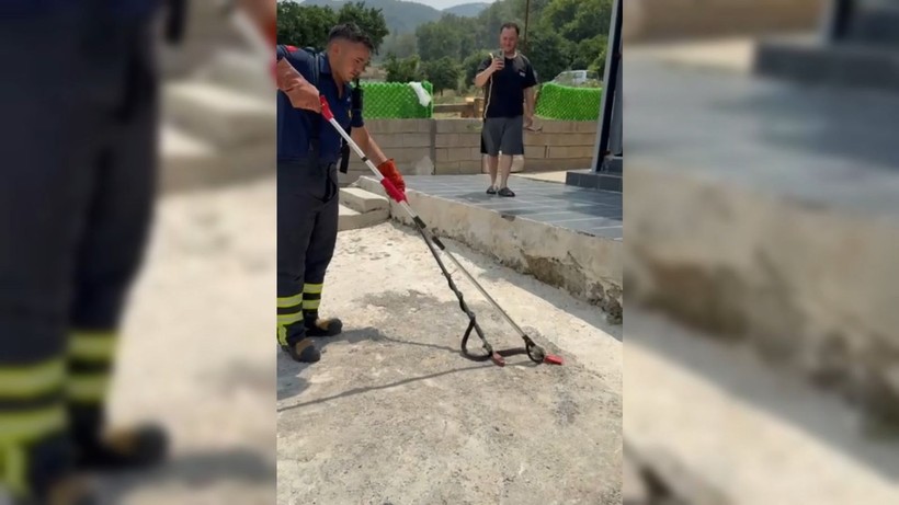 İtfaiye eri, yakaladığı yılana su içirdi - Resim: 1