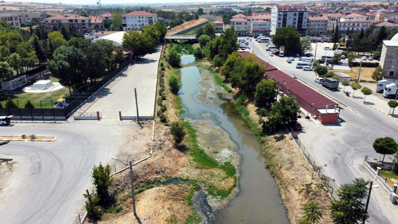 Edirne'ye gelen su maymunları ilgi görüyor - Resim: 1
