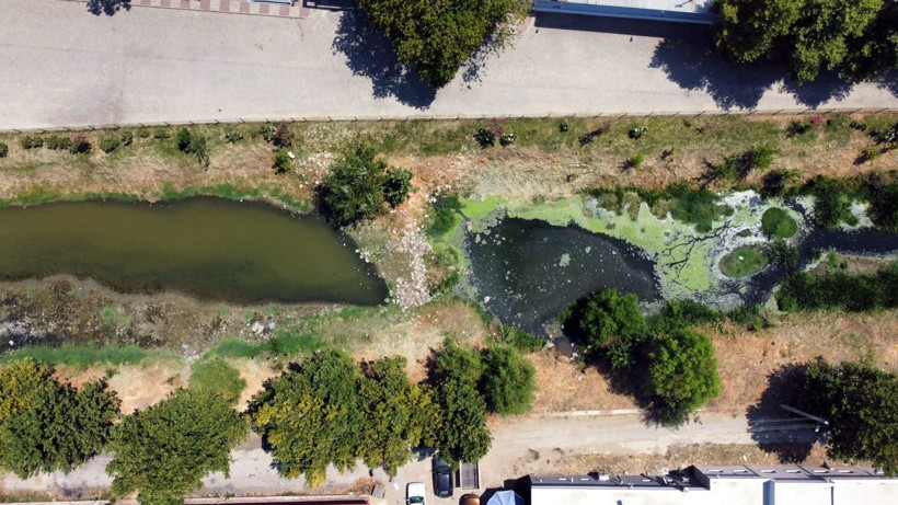Edirne'ye gelen su maymunları ilgi görüyor - Resim: 13