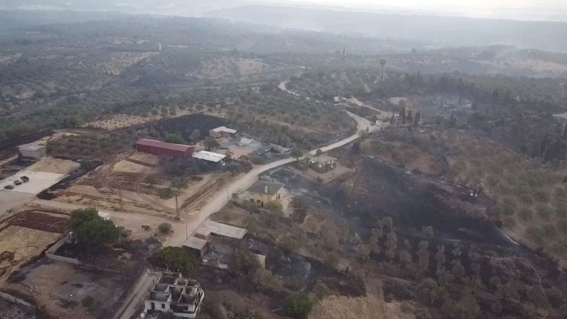 Orman yangınlarının acı bilançocu gün ağarınca ortaya çıktı - Resim: 9