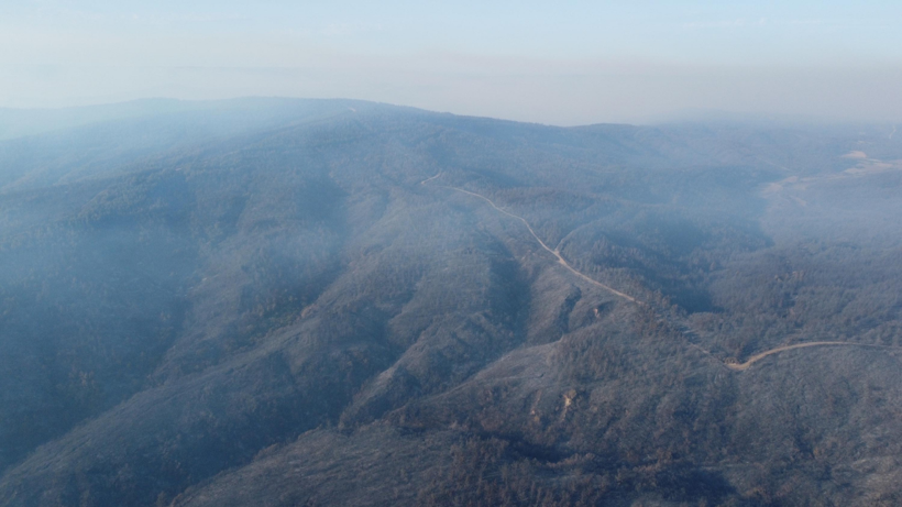Çanakkale’deki orman yangınında zarar gören alanlar dron ile görüntülendi - Resim : 5