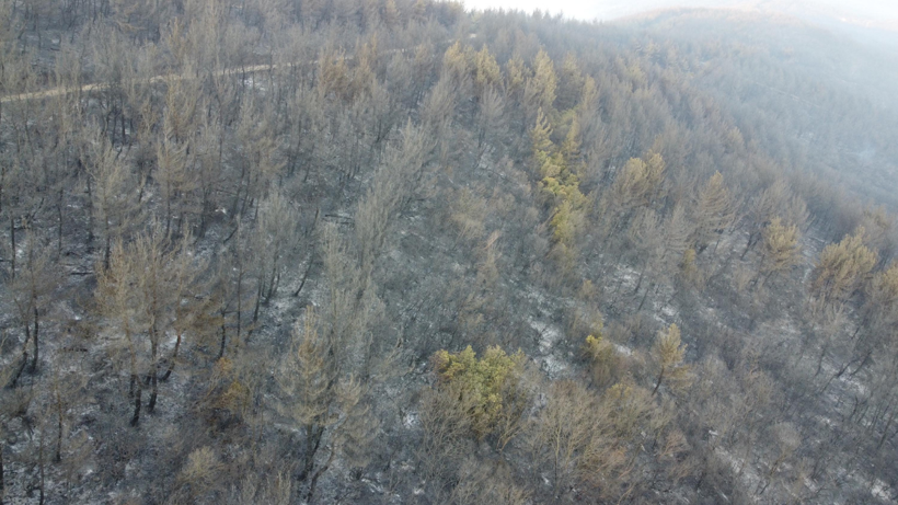Çanakkale’deki orman yangınında zarar gören alanlar dron ile görüntülendi - Resim : 3