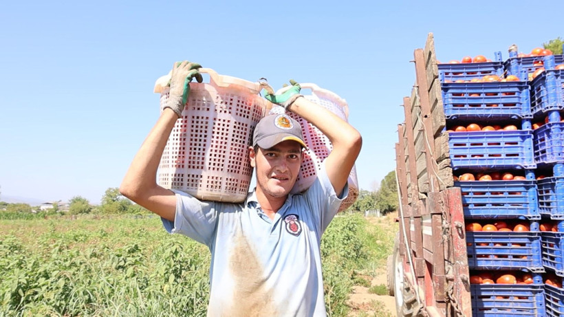 Çöl sıcaklarında günlük 1500 TL için ter döküyorlar - Resim: 5