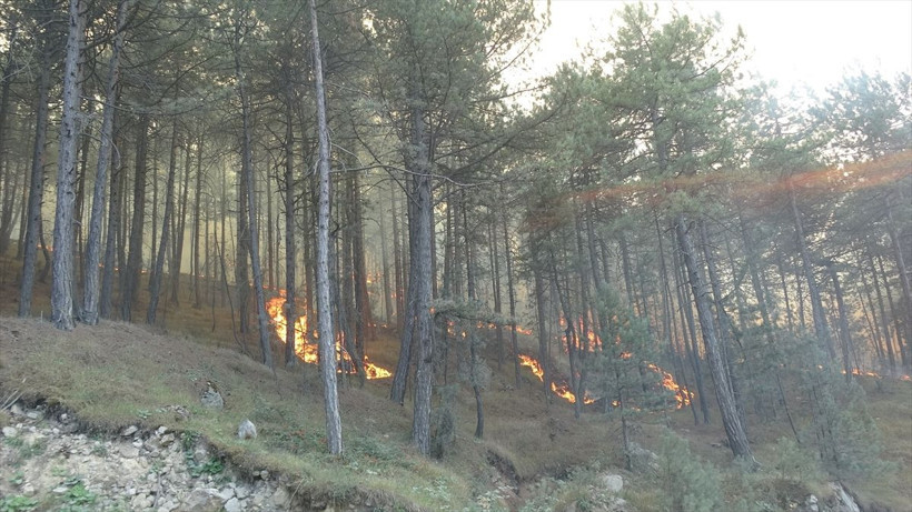 Kastamonu'da yangın devam ediyor! Kara yolu trafiğe kapatıldı, 9 köy tahliye edildi - Resim: 6