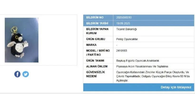 Ticaret Bakanlığı harekete geçti: Bazı oda kokuları ile peluş oyuncaklar için toplatma kararı - Resim : 3