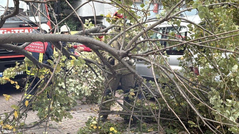 İstanbul'da lodos etkili oldu! Beşiktaş ve Şişli’de ağaçlar ve elektrik direği araçların üstüne devrildi - Resim: 8