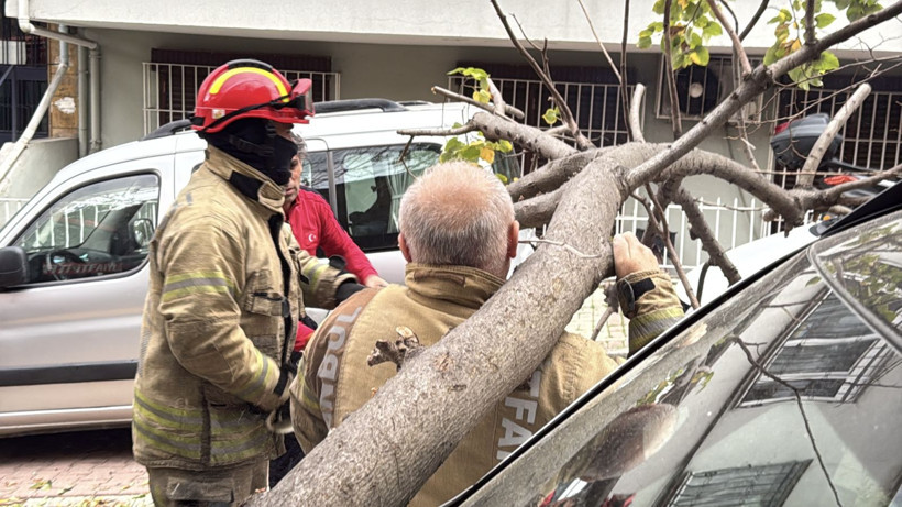 İstanbul'da lodos etkili oldu! Beşiktaş ve Şişli’de ağaçlar ve elektrik direği araçların üstüne devrildi - Resim: 5