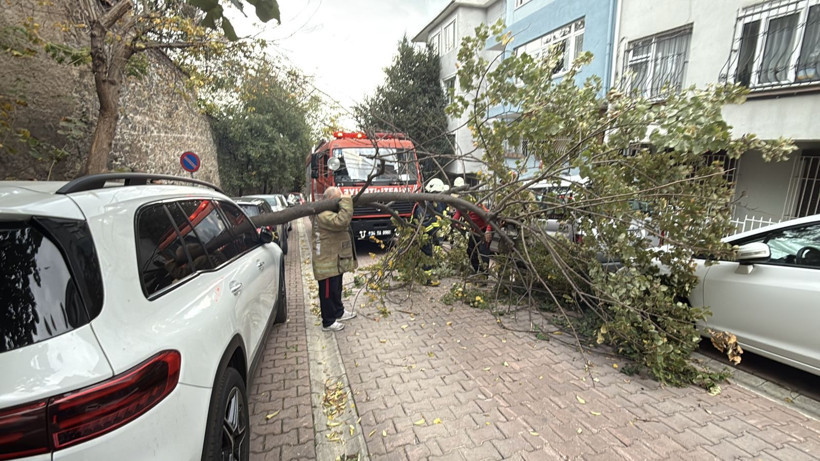 İstanbul'da lodos etkili oldu! Beşiktaş ve Şişli’de ağaçlar ve elektrik direği araçların üstüne devrildi - Resim: 3