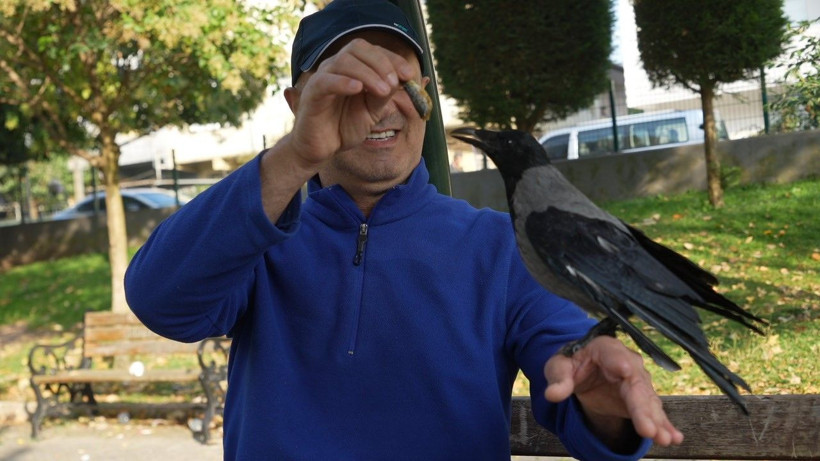 Bu karga çay içip Rize helvası yiyor: Organik gıdaları seviyor - Resim: 8