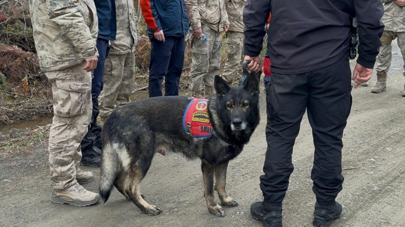 Kastamonu'da kayıp anne ve oğlunu arama çalışmaları 4'üncü günde - Resim: 8