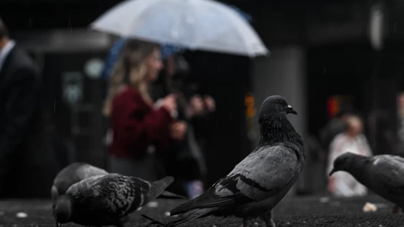 Güzel havalara aldanmayın! Meteoroloji ve AKOM'dan peş peşe uyarı geldi: Kış kapıda - Resim: 5