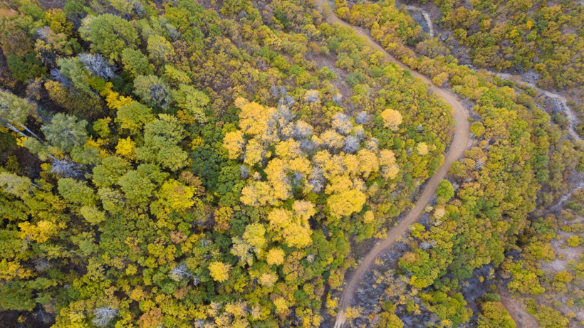 Tunceli'nin gizli cenneti: Salördek Ormanları - Resim: 3