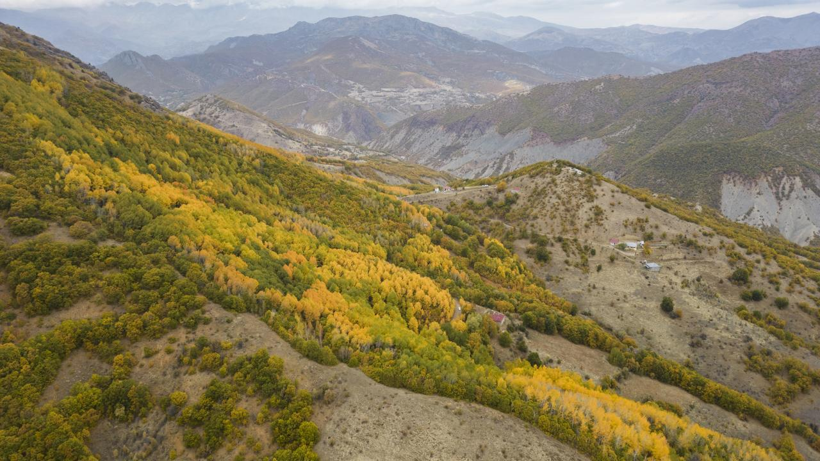 Tunceli'nin gizli cenneti: Salördek Ormanları - Resim: 8