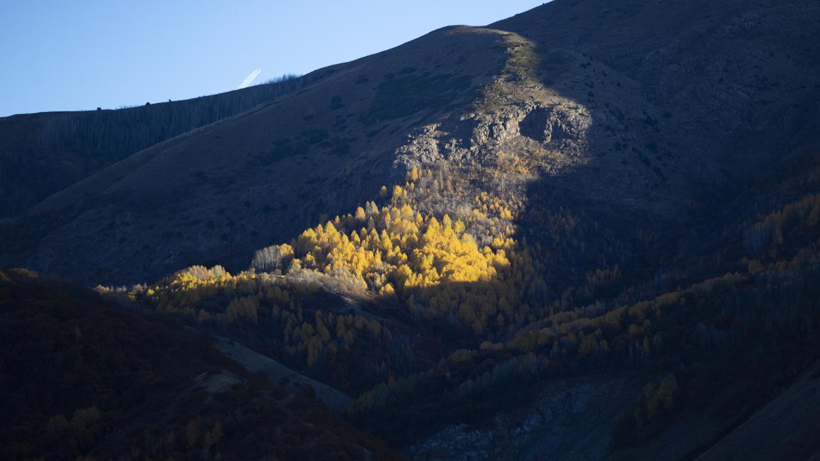 Tunceli'nin gizli cenneti: Salördek Ormanları - Resim: 7